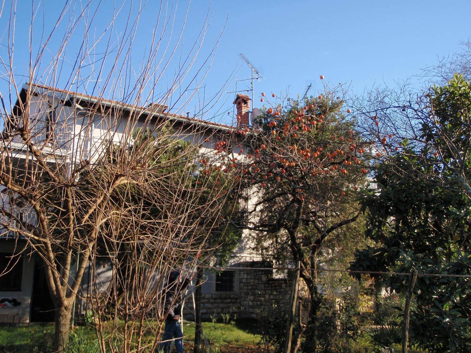 Apartments Miri زامبراتيجا المظهر الخارجي الصورة