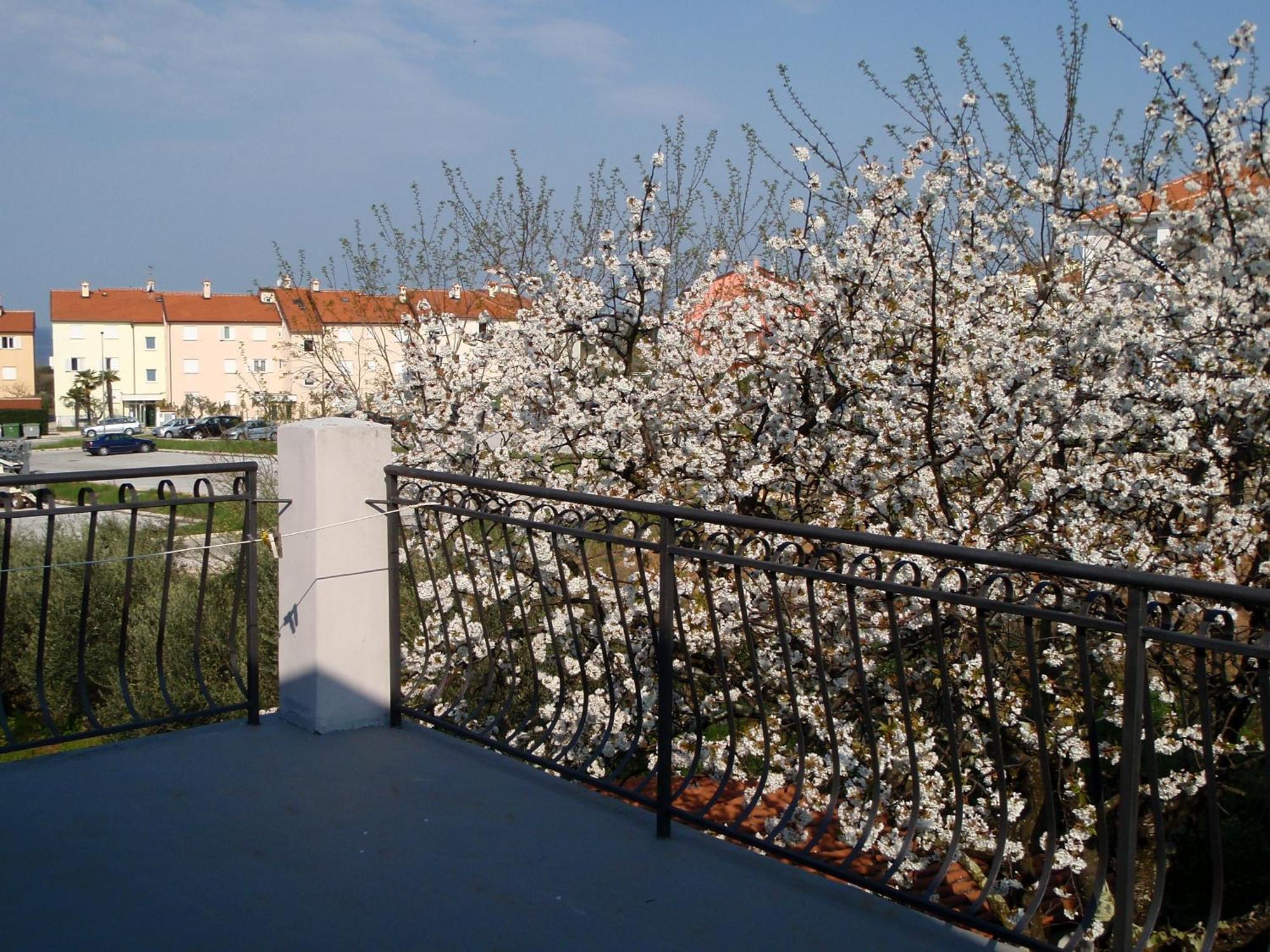 Apartments Miri زامبراتيجا المظهر الخارجي الصورة